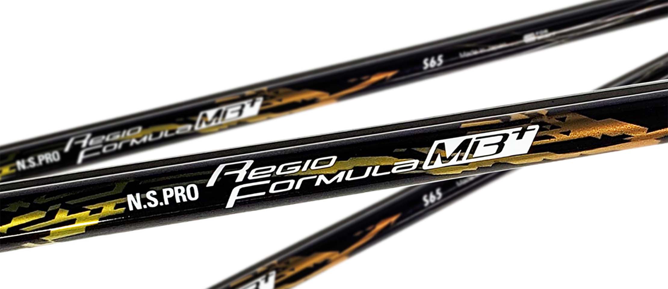 N.S.PRO Regio Formula MB+